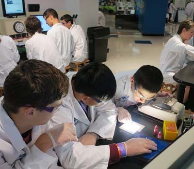 junior-scientists
