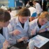 stem-girls