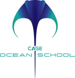 Ocean-School-logo-greenColour-min Ocean-School-logo-greenColour-min