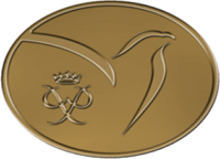 bronze-min bronze-min