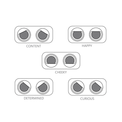 flipeye-expressions-square