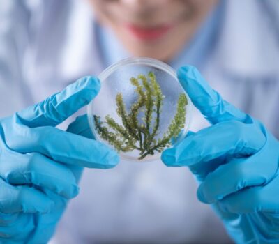 person-holding-container-with-seaweed-2280568-1-scaled-min