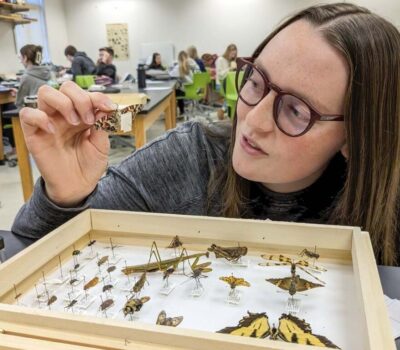 11_29_23_Insect-Biology-collection-001-web-copy-min