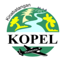 Kopel-logo-min
