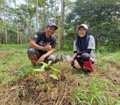 Regrow-Borneo-min