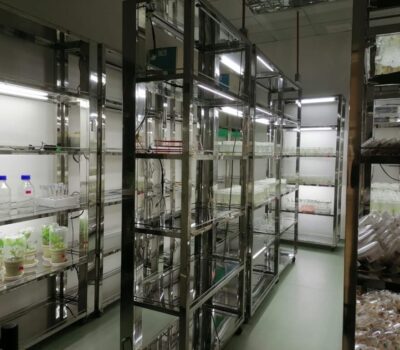 animal-and-plant-in-vitro-min