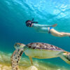 Great Barrier Reef