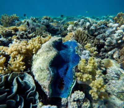 DCIM100GOPROGOPR7057.